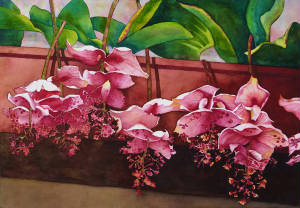 Floral/PrettyInPink.jpg