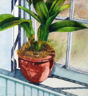 Floral/RedPot.JPG