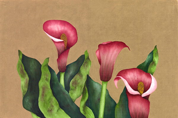 Floral/CallaTrio.jpg